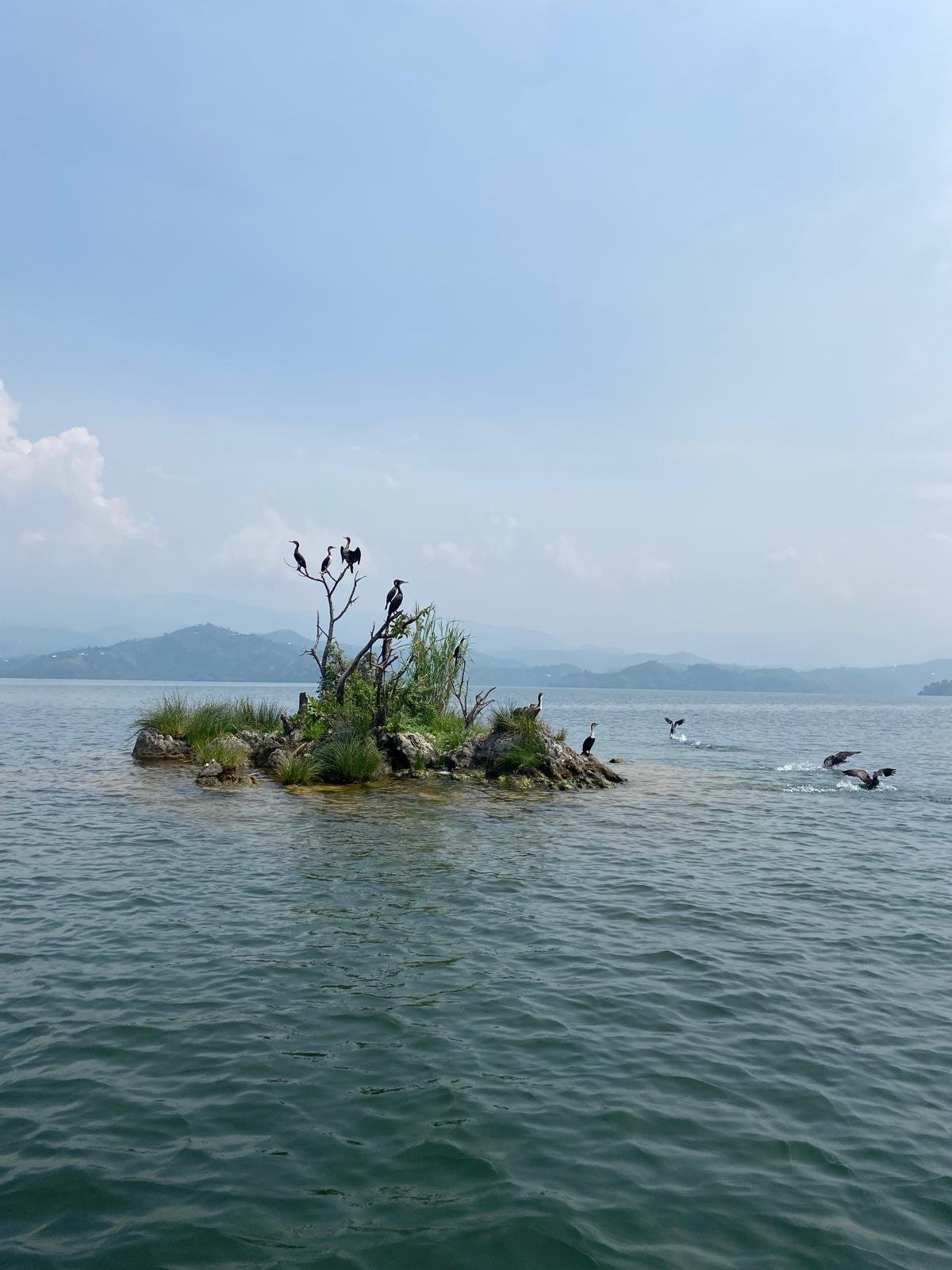 Visit lake kivu’s stunning islands, thinks to do in Rwanda