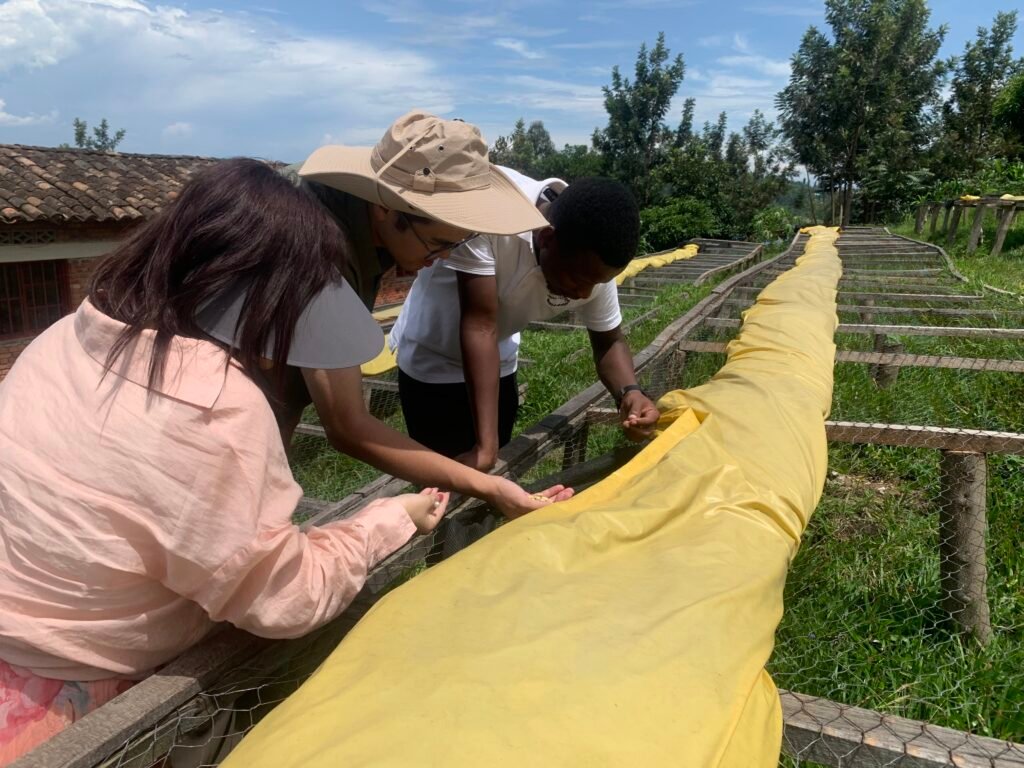 Coffee experience in Rwanda lake kivu, what to do in Rwanda