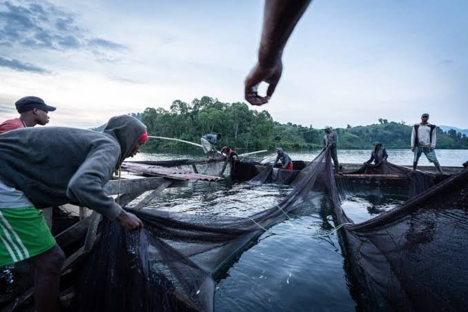 Join singing fishermen on lake Kivu fishing tour