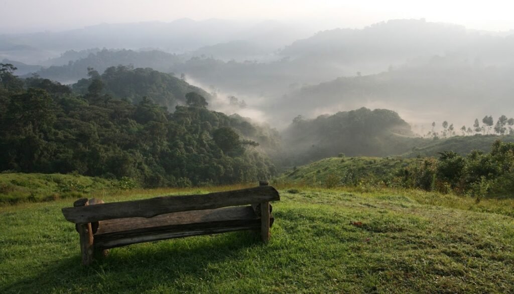 Where to stay at Chimpanzee tracking in Nature walk in Golden monkeys trekking in Gishwati Mukura National Park