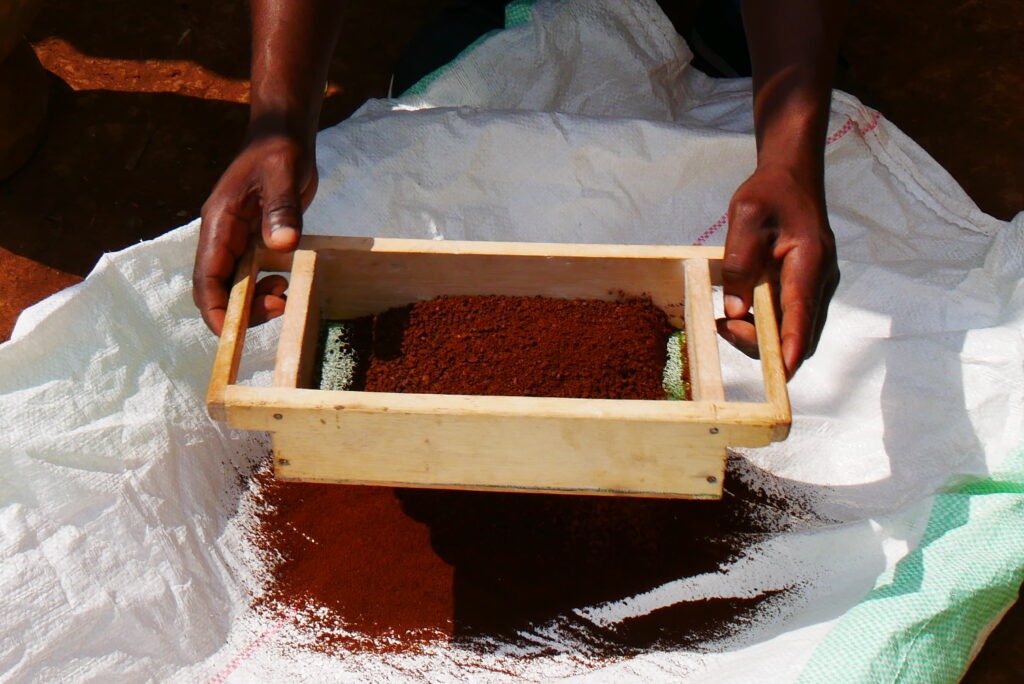 Explore Rwanda's Coffee Trail through Rubavu, Rutsiro, Karongi, Nyamasheke, and Rusizi. Visit coffee farms, washing stations, Nkombo Island, Nyungwe Forest, and Lake Kivu while discovering Rwanda's world-famous specialty coffee.