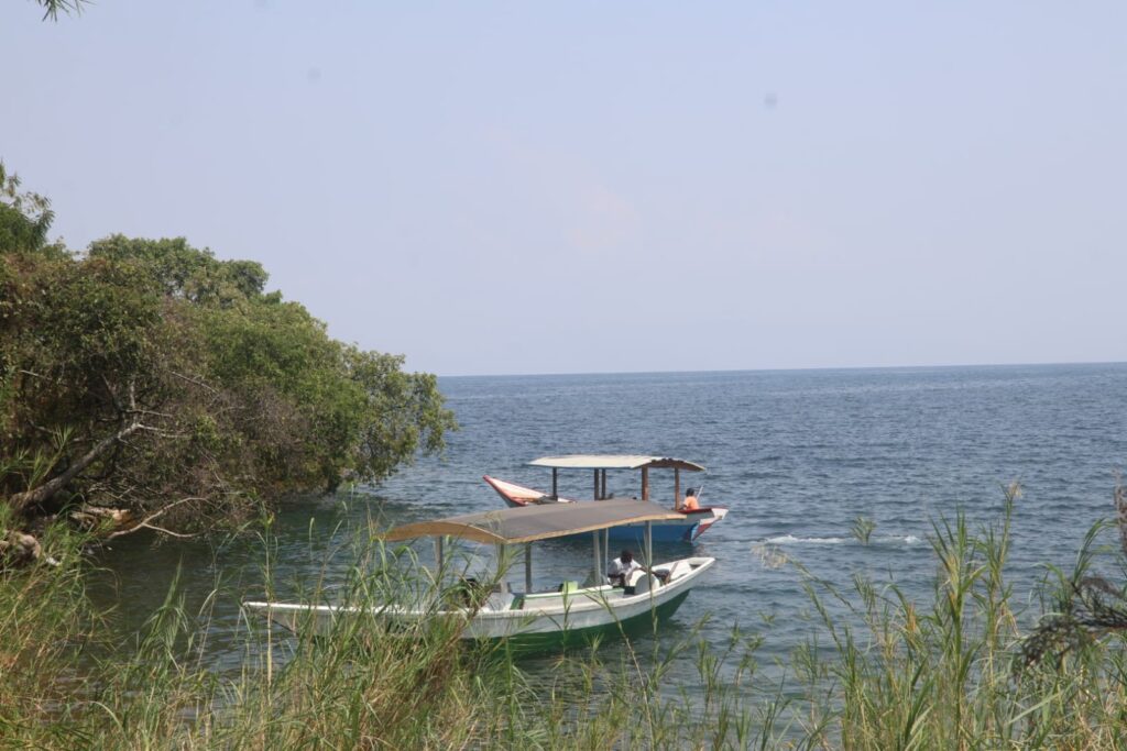 Planning a trip to Rwanda? Discover why Lake Kivu deserves more than a quick stop. From boat tours and kayaking to coffee experiences and stunning sunsets, here are 10 reasons to spend more time at Lake Kivu.